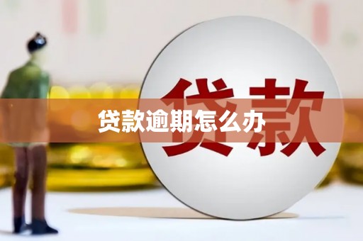 苓雅贷款逾期怎么办