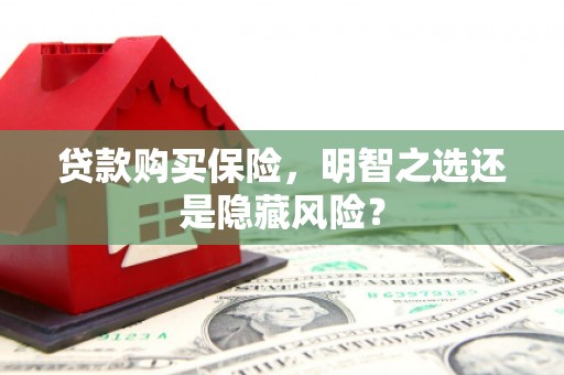 苓雅贷款购买保险，明智之选还是隐藏风险？