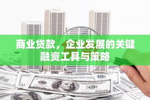 苓雅商业贷款，企业发展的关键融资工具与策略