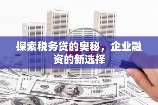 苓雅探索税务贷的奥秘，企业融资的新选择