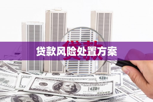 苓雅贷款风险处置方案