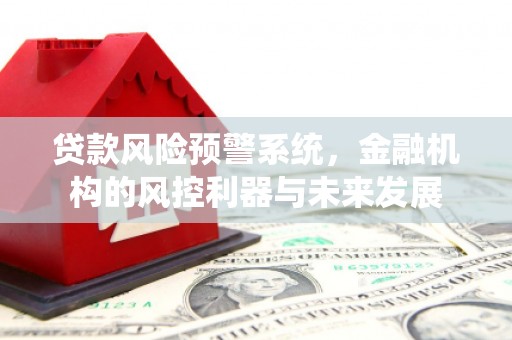 苓雅贷款风险预警系统，金融机构的风控利器与未来发展