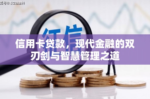 苓雅信用卡贷款，现代金融的双刃剑与智慧管理之道