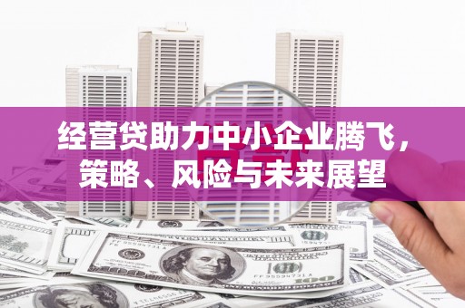 苓雅经营贷助力中小企业腾飞，策略、风险与未来展望