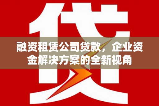 苓雅融资租赁公司贷款，企业资金解决方案的全新视角
