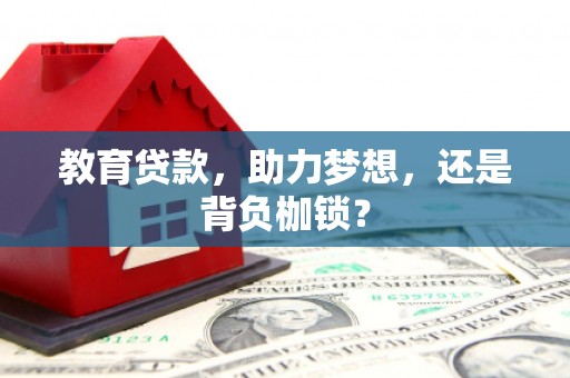苓雅教育贷款，助力梦想，还是背负枷锁？