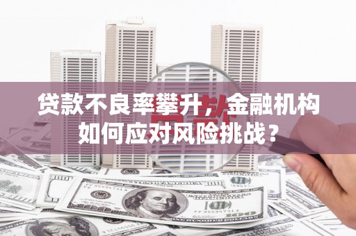 苓雅贷款不良率攀升，金融机构如何应对风险挑战？