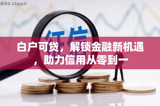 苓雅白户可贷，解锁金融新机遇，助力信用从零到一