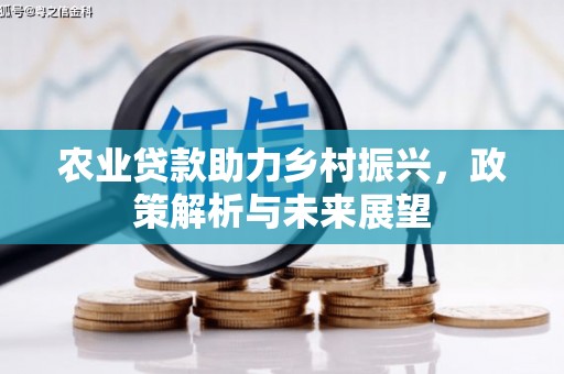 苓雅农业贷款助力乡村振兴，政策解析与未来展望