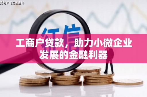 苓雅工商户贷款，助力小微企业发展的金融利器