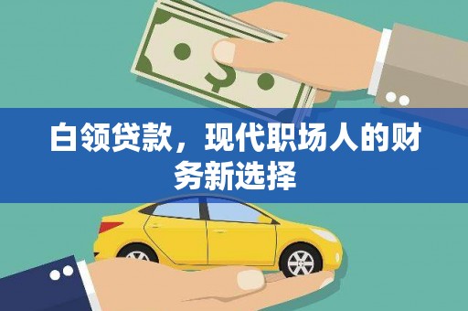 苓雅白领贷款，现代职场人的财务新选择