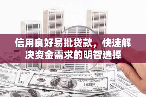 苓雅信用良好易批贷款，快速解决资金需求的明智选择