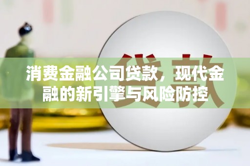 苓雅消费金融公司贷款，现代金融的新引擎与风险防控