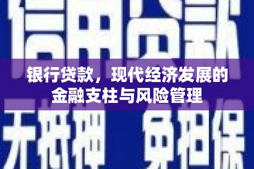 苓雅银行贷款，现代经济发展的金融支柱与风险管理