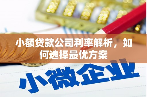 苓雅小额贷款公司利率解析，如何选择最优方案