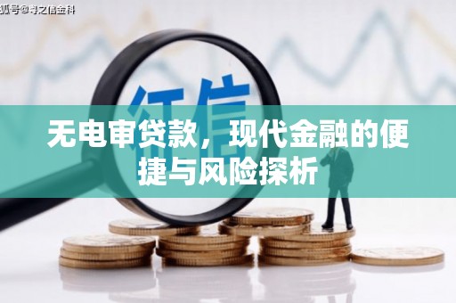 苓雅无电审贷款，现代金融的便捷与风险探析