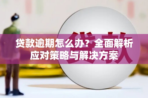 苓雅贷款逾期怎么办？全面解析应对策略与解决方案