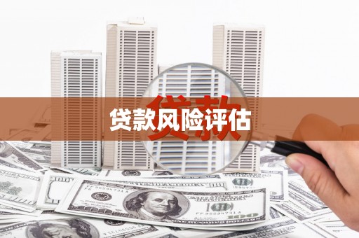 苓雅贷款风险评估
