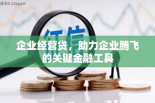 苓雅企业经营贷，助力企业腾飞的关键金融工具