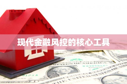 苓雅现代金融风控的核心工具