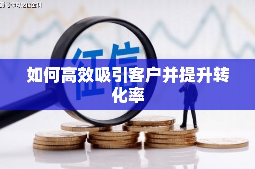 苓雅如何高效吸引客户并提升转化率