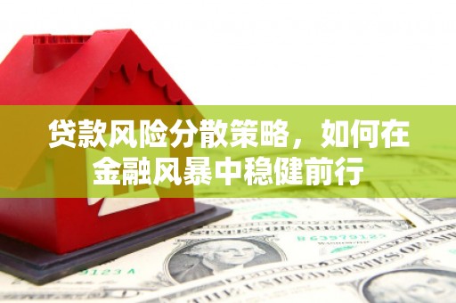 苓雅贷款风险分散策略，如何在金融风暴中稳健前行