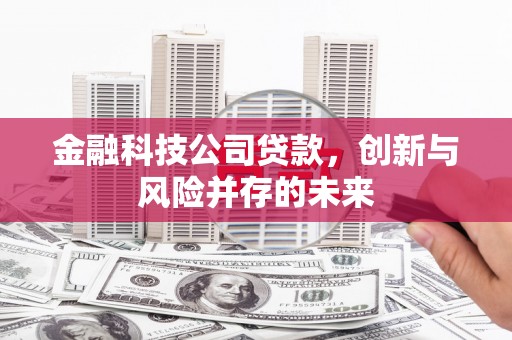 苓雅金融科技公司贷款，创新与风险并存的未来
