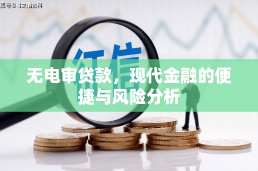 苓雅无电审贷款，现代金融的便捷与风险分析
