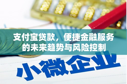 苓雅支付宝贷款，便捷金融服务的未来趋势与风险控制