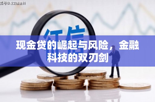 苓雅现金贷的崛起与风险，金融科技的双刃剑
