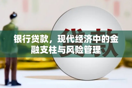 苓雅银行贷款，现代经济中的金融支柱与风险管理