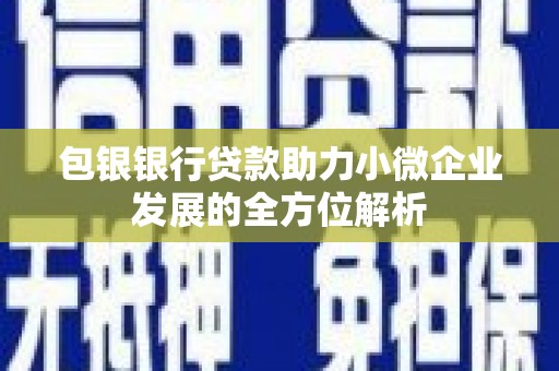 苓雅包银银行贷款助力小微企业发展的全方位解析