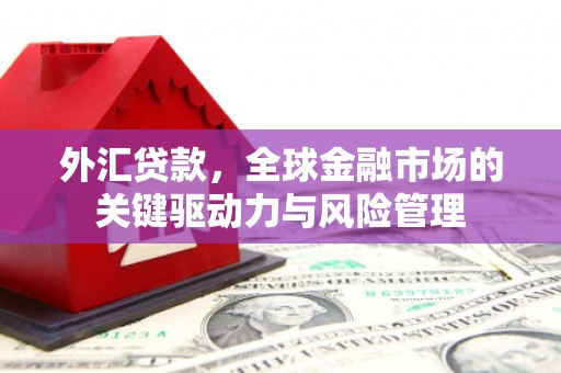 苓雅外汇贷款，全球金融市场的关键驱动力与风险管理