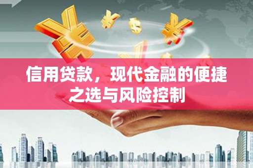 苓雅信用贷款，现代金融的便捷之选与风险控制