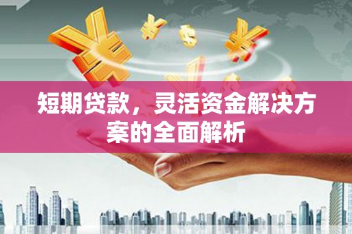 苓雅短期贷款，灵活资金解决方案的全面解析