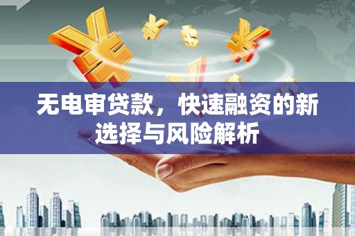 苓雅无电审贷款，快速融资的新选择与风险解析