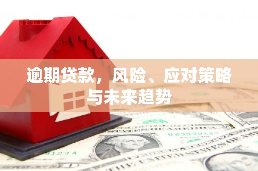 苓雅逾期贷款，风险、应对策略与未来趋势