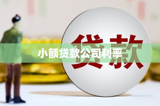 苓雅小额贷款公司利率