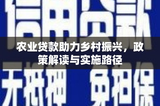 苓雅农业贷款助力乡村振兴，政策解读与实施路径