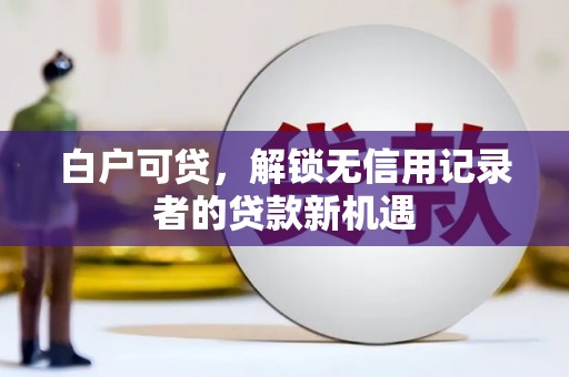 苓雅白户可贷，解锁无信用记录者的贷款新机遇