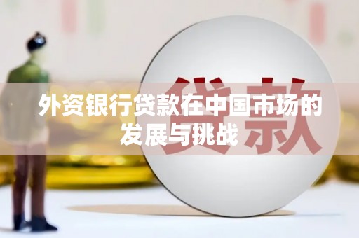 苓雅外资银行贷款在中国市场的发展与挑战