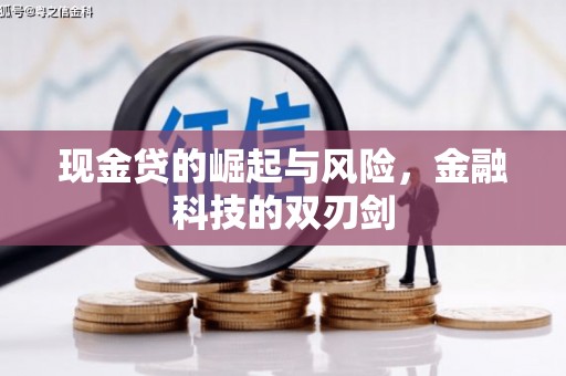 苓雅现金贷的崛起与风险，金融科技的双刃剑