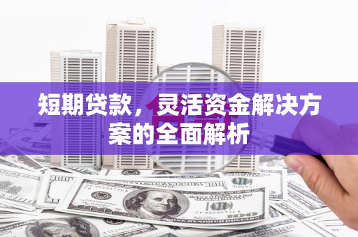 苓雅短期贷款，灵活资金解决方案的全面解析