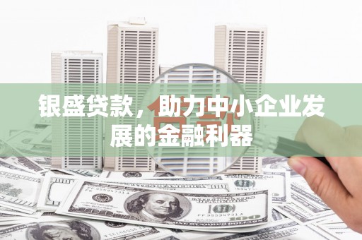 苓雅银盛贷款，助力中小企业发展的金融利器