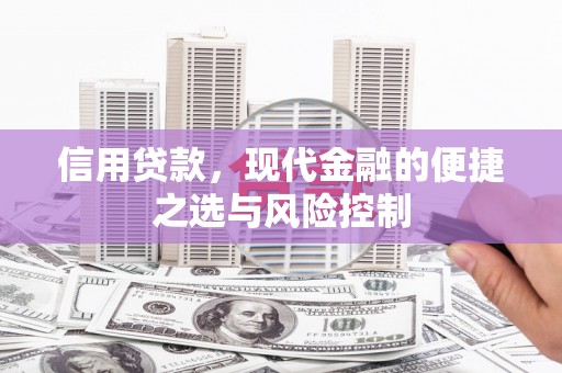 苓雅信用贷款，现代金融的便捷之选与风险控制