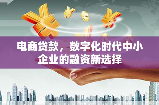 苓雅电商贷款，数字化时代中小企业的融资新选择