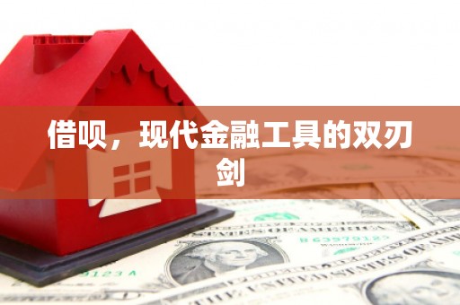 苓雅借呗，现代金融工具的双刃剑