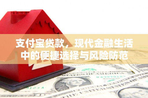 苓雅支付宝贷款，现代金融生活中的便捷选择与风险防范