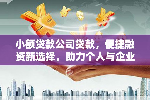苓雅小额贷款公司贷款，便捷融资新选择，助力个人与企业成长