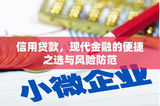 苓雅信用贷款，现代金融的便捷之选与风险防范